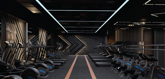Apex Fitness Studio